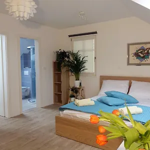 https://central-apartments-with-parking.hotels-in-ljubljana.com